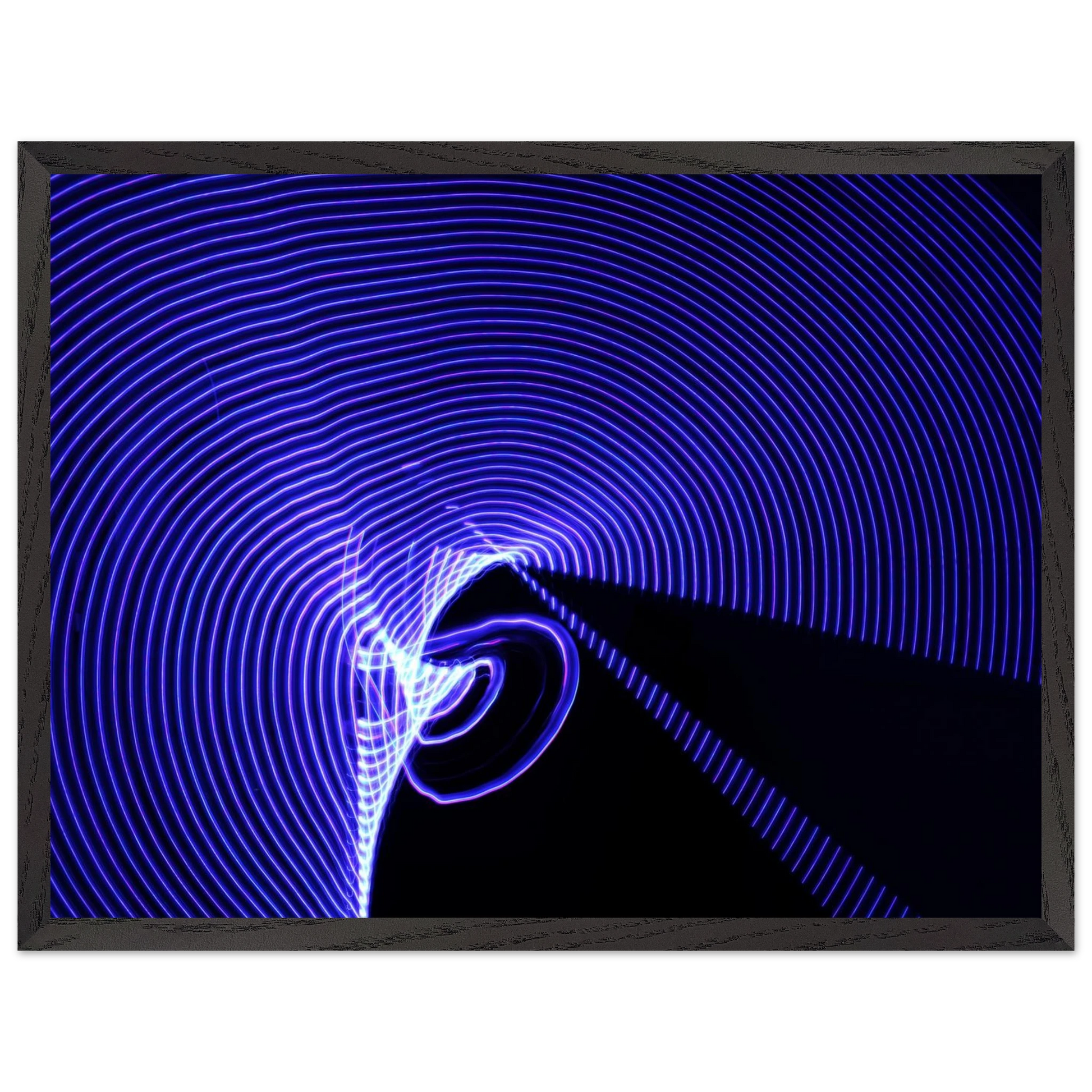 3c8b3771-7093-4083-be3b-0144f3fba449